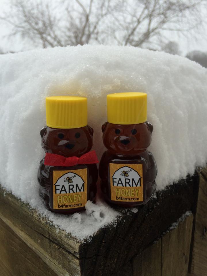 It's BEARY cold at the B4 Farm this morning!! January 22 ,2016